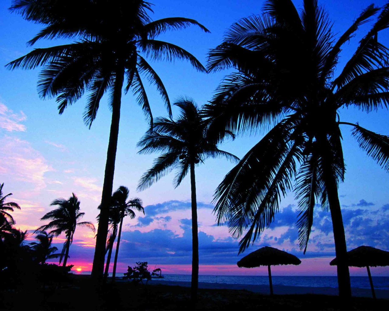 Пальмы на фоне заката на курорте Гуардалавака, Куба