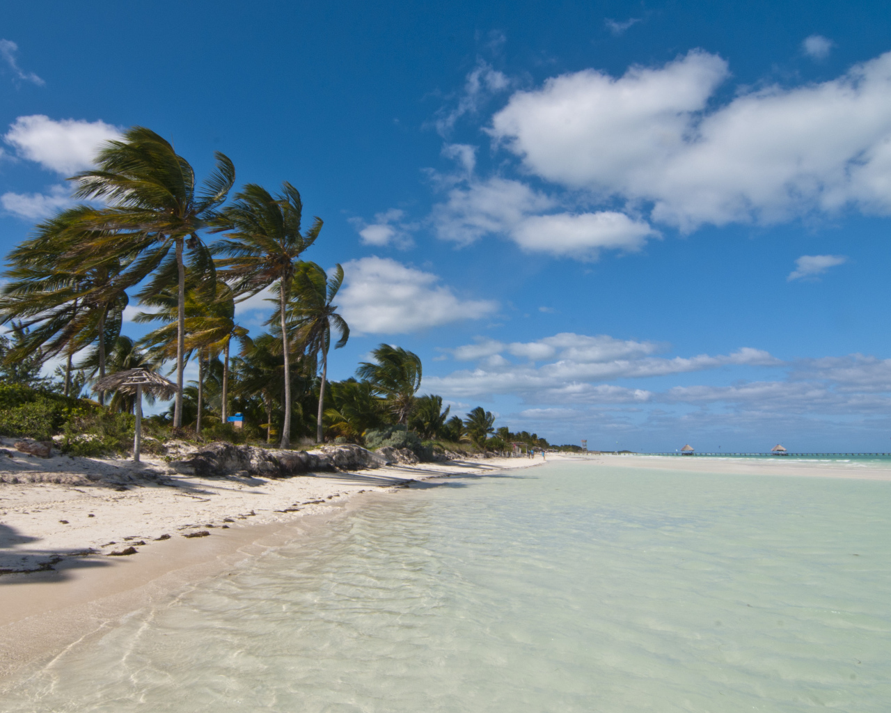 Пальмы на побережье на курорте Кайо Гильермо, Куба