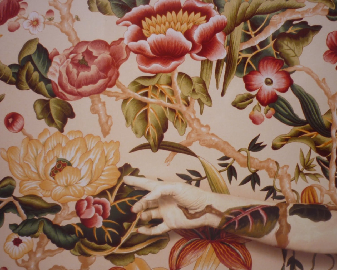 Фотография красивая картина