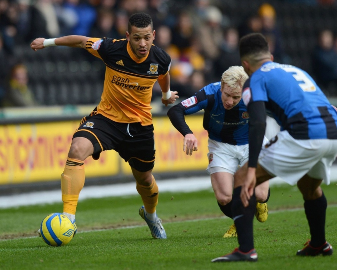 Популярный Футбольный клуб Халл Сити