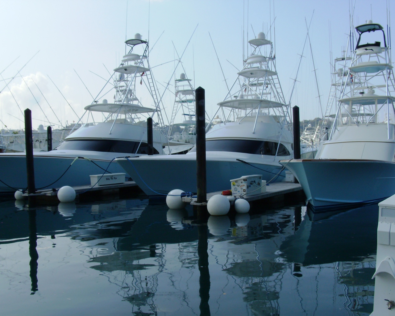 Порт Коста-Рика