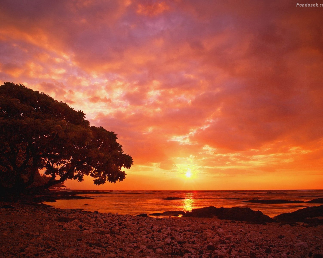 Закат на пляже Коста-Рика