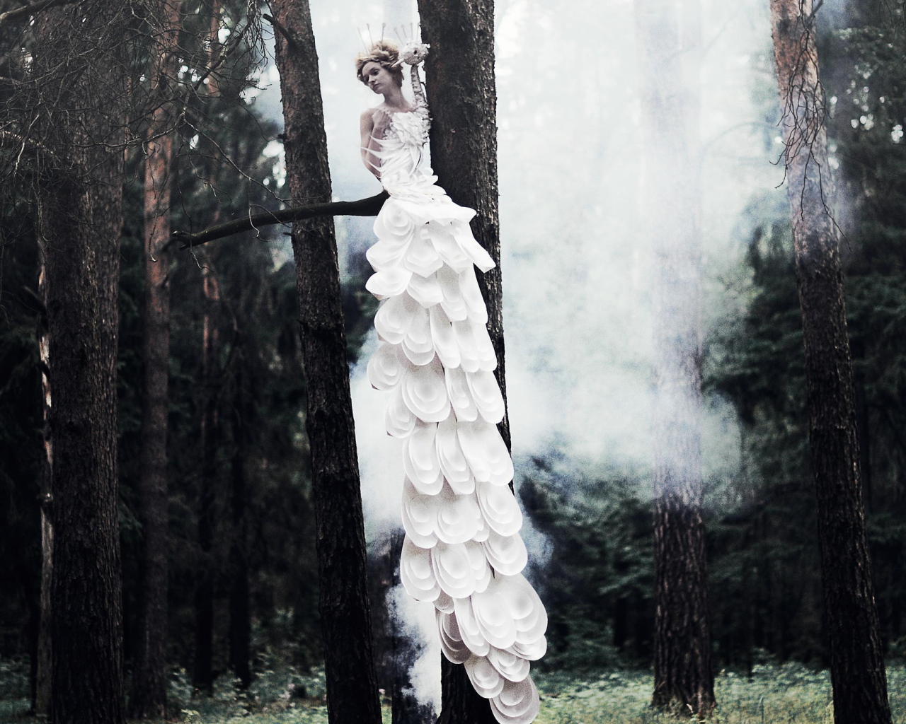 Фотография Девушка на дереве