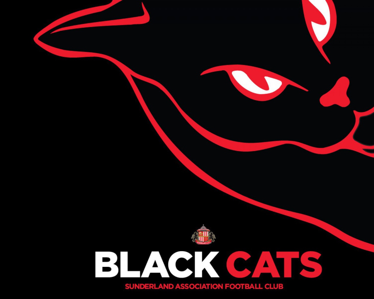 Любимая команда футбола Англии Сандерленд