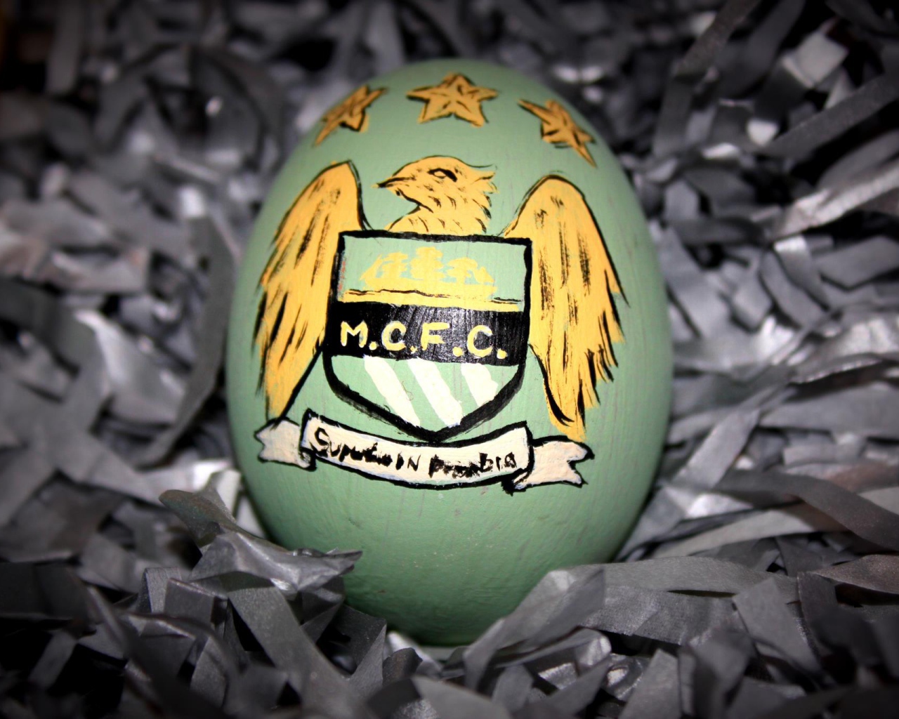 Известная футбольная команда Манчестер Сити