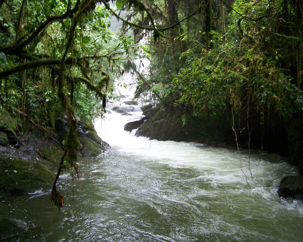 Водопад и река в Коста-Рика