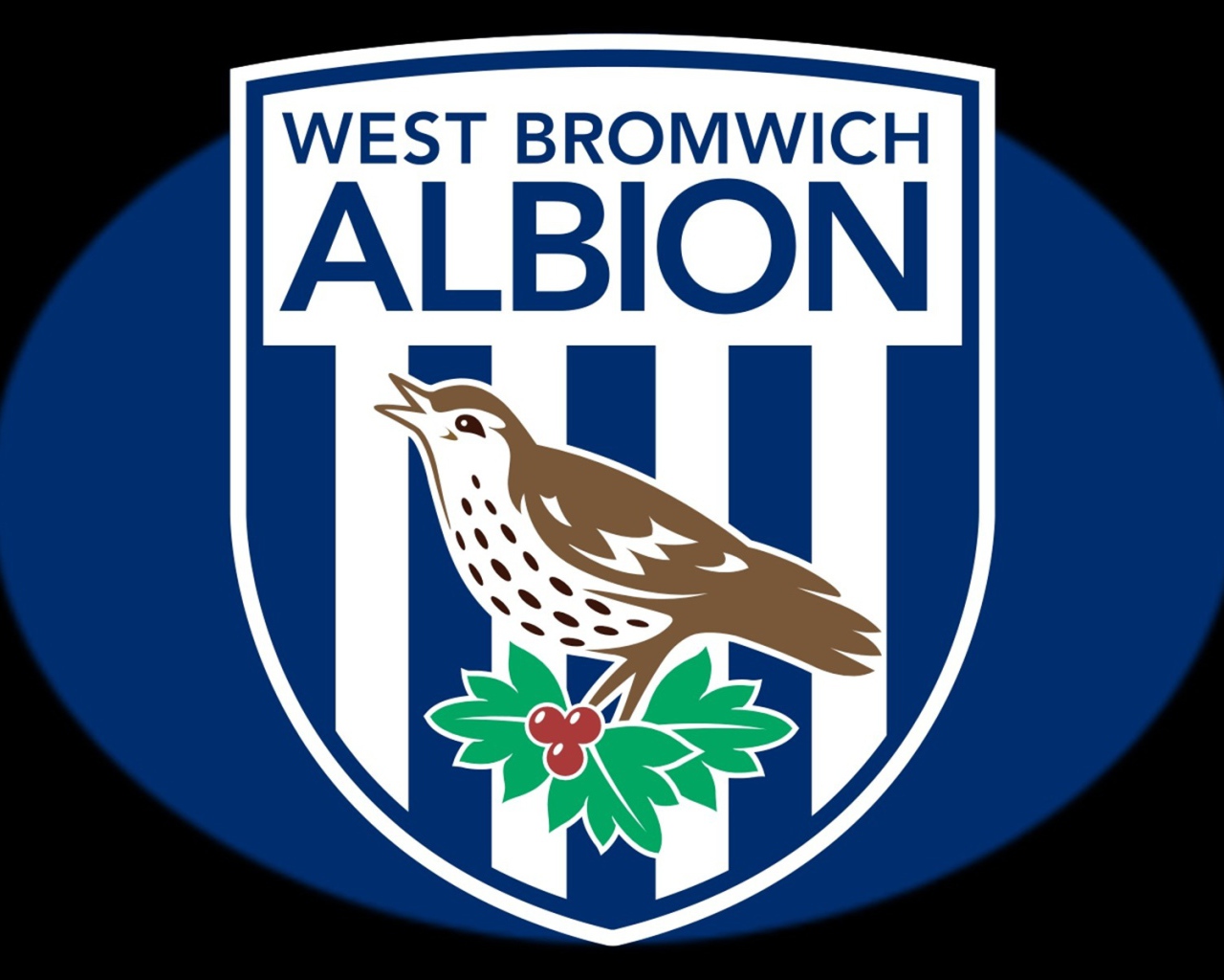 Вест Бромвич Альбион