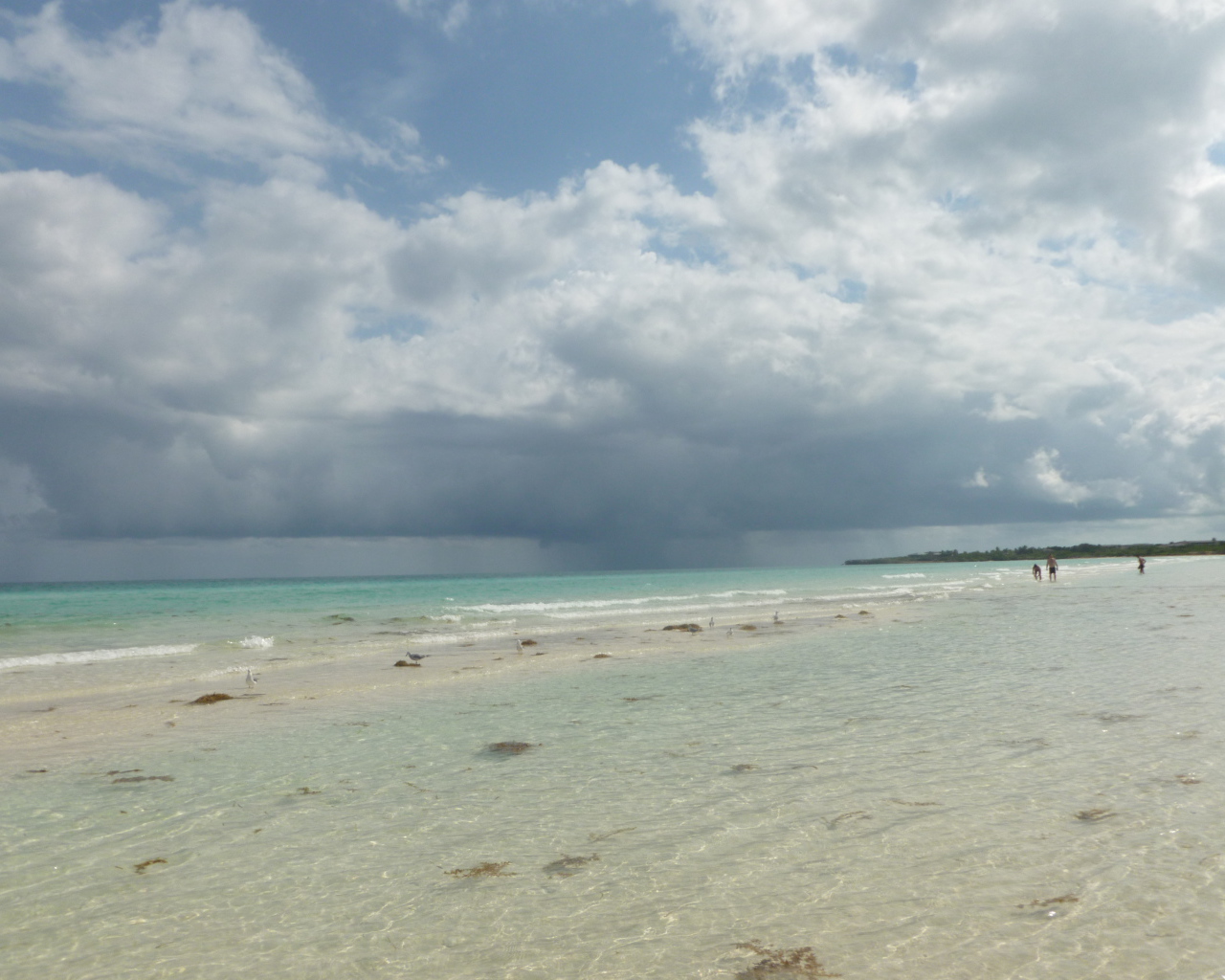 Зимний отдых на курорте Кайо Коко, Куба