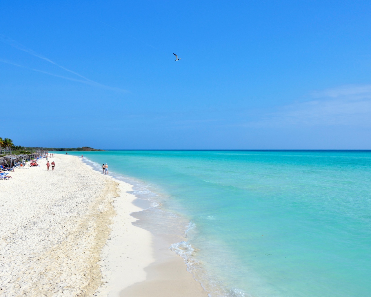 Зимний отдых на пляже на курорте Кайо Гильермо, Куба
