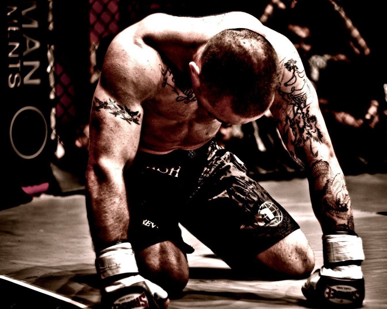 Борец на арене