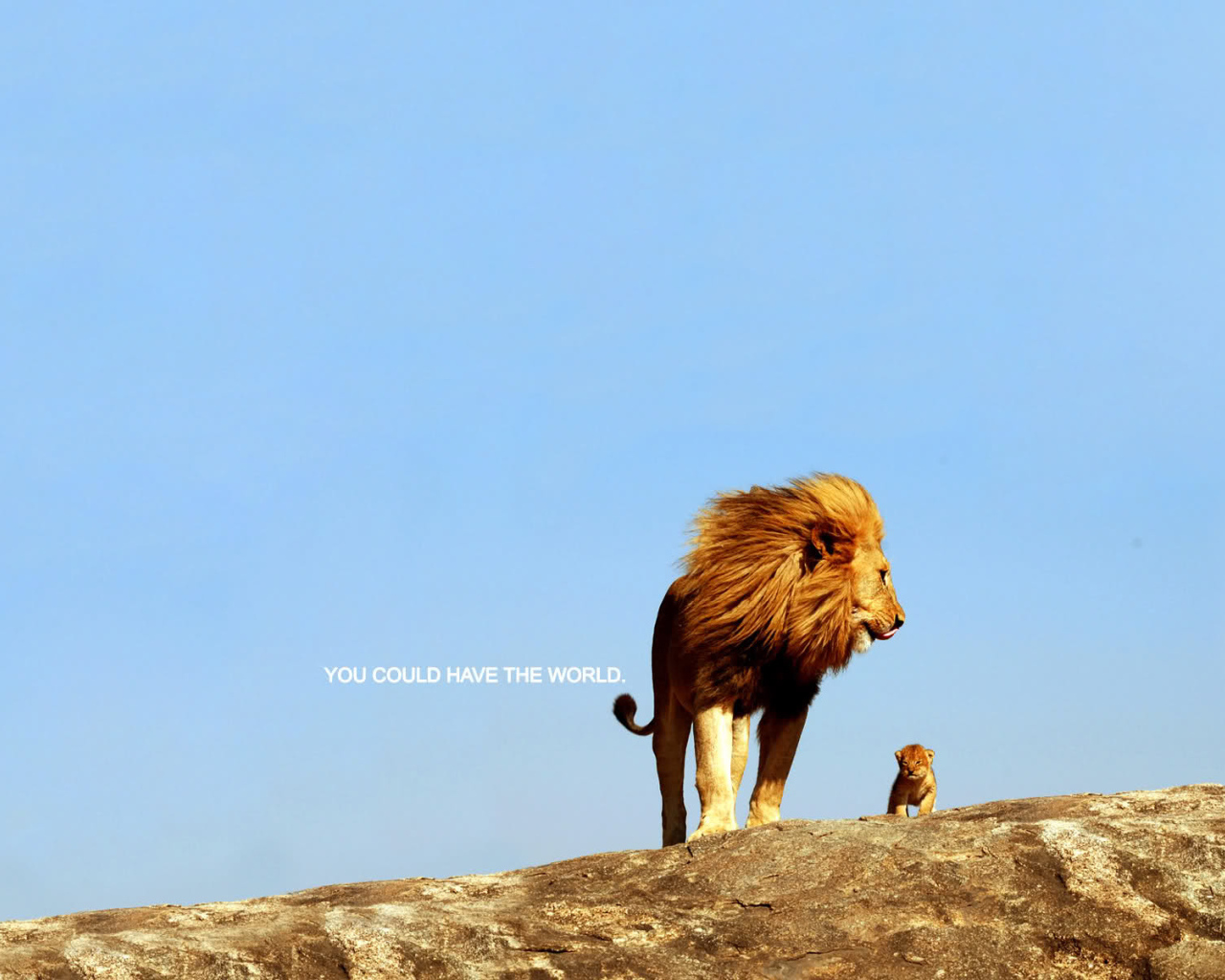 Ты можешь покорить весь мир