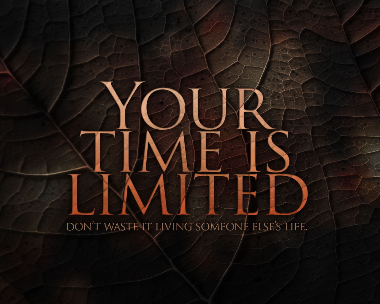 Твое время ограничено, не трать его впустую