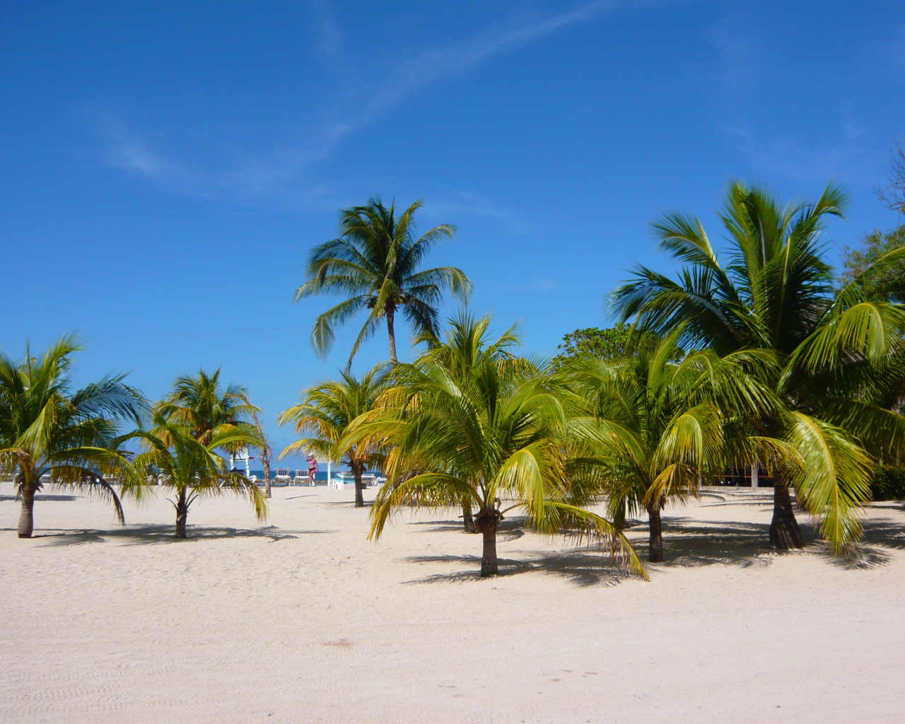 Замечательное место в Гаити
