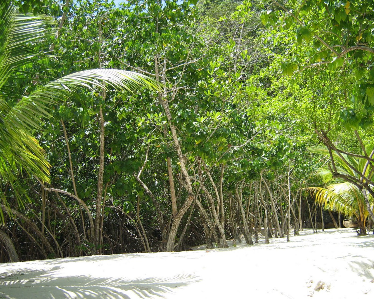 Захватывающие дух место в Гаити