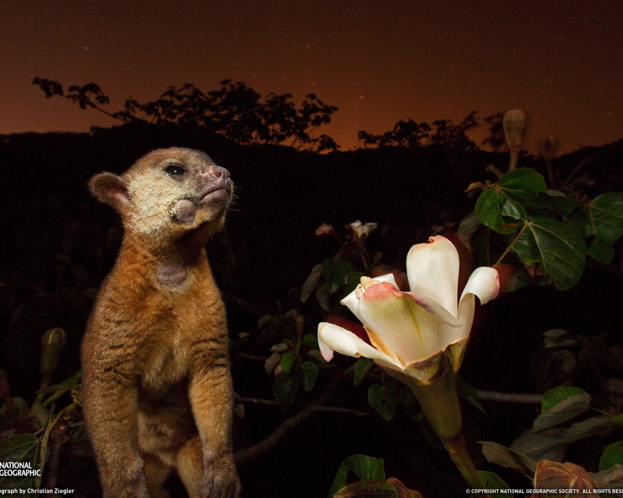 Великолепное Панама