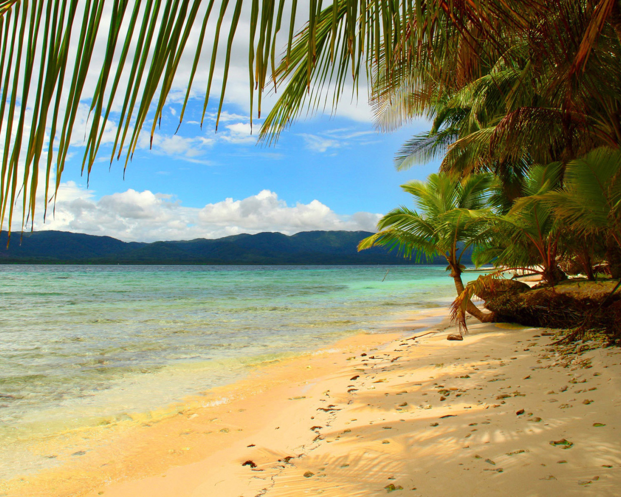 Эффектное Панама