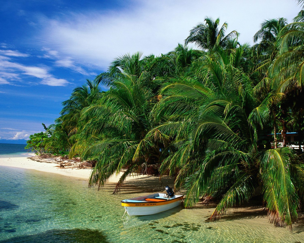 Привлекательное Панама