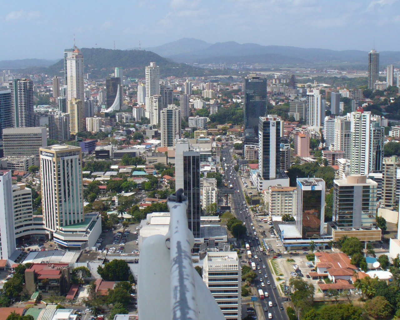 Элегантное Панама