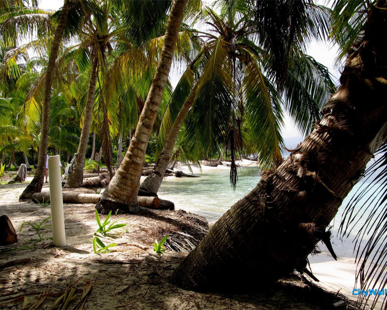 Замечательная страна Панама