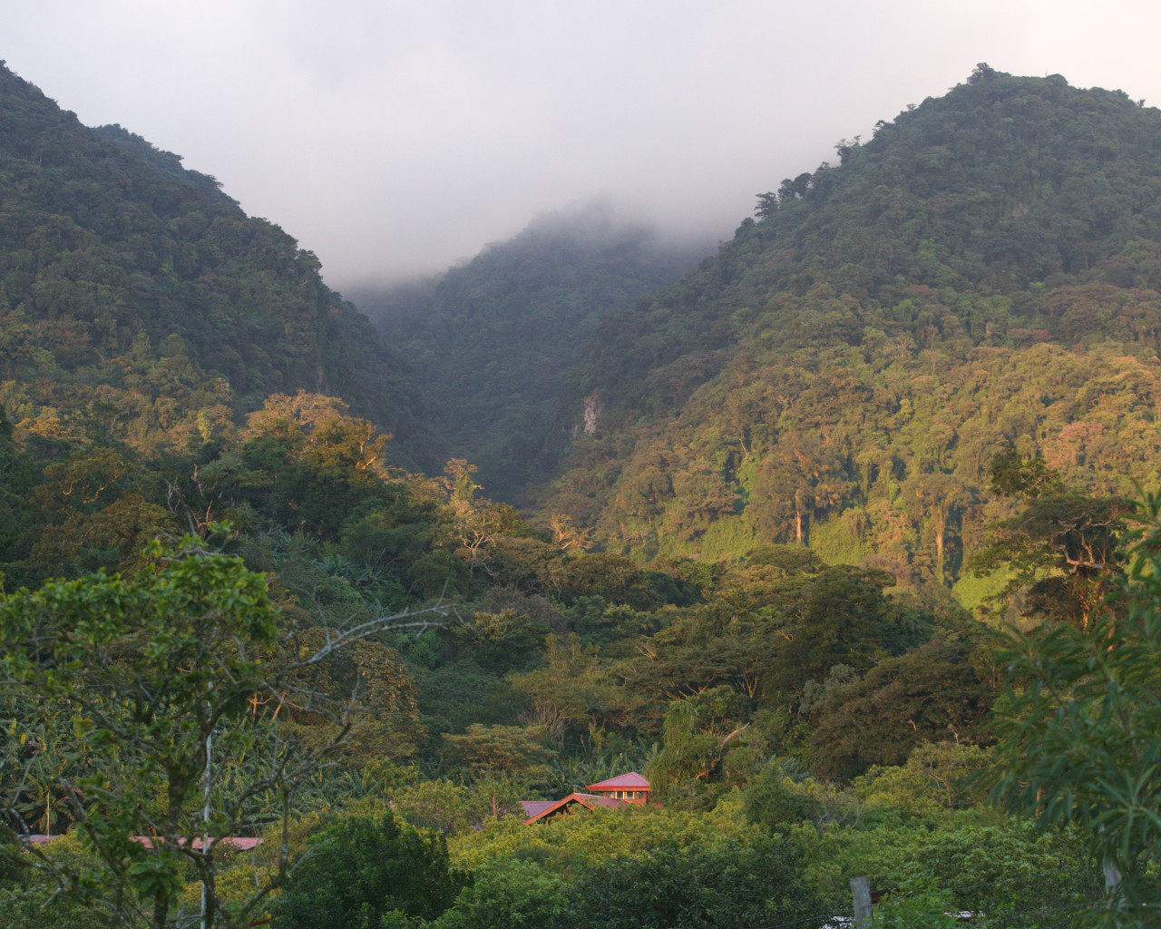 Замечательное Коста-Рика