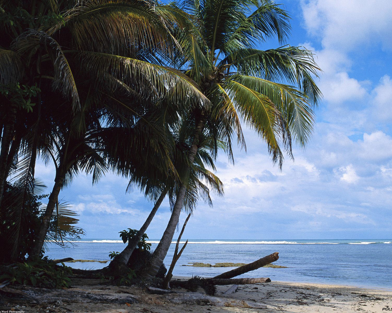 Невероятная страна Коста-Рика