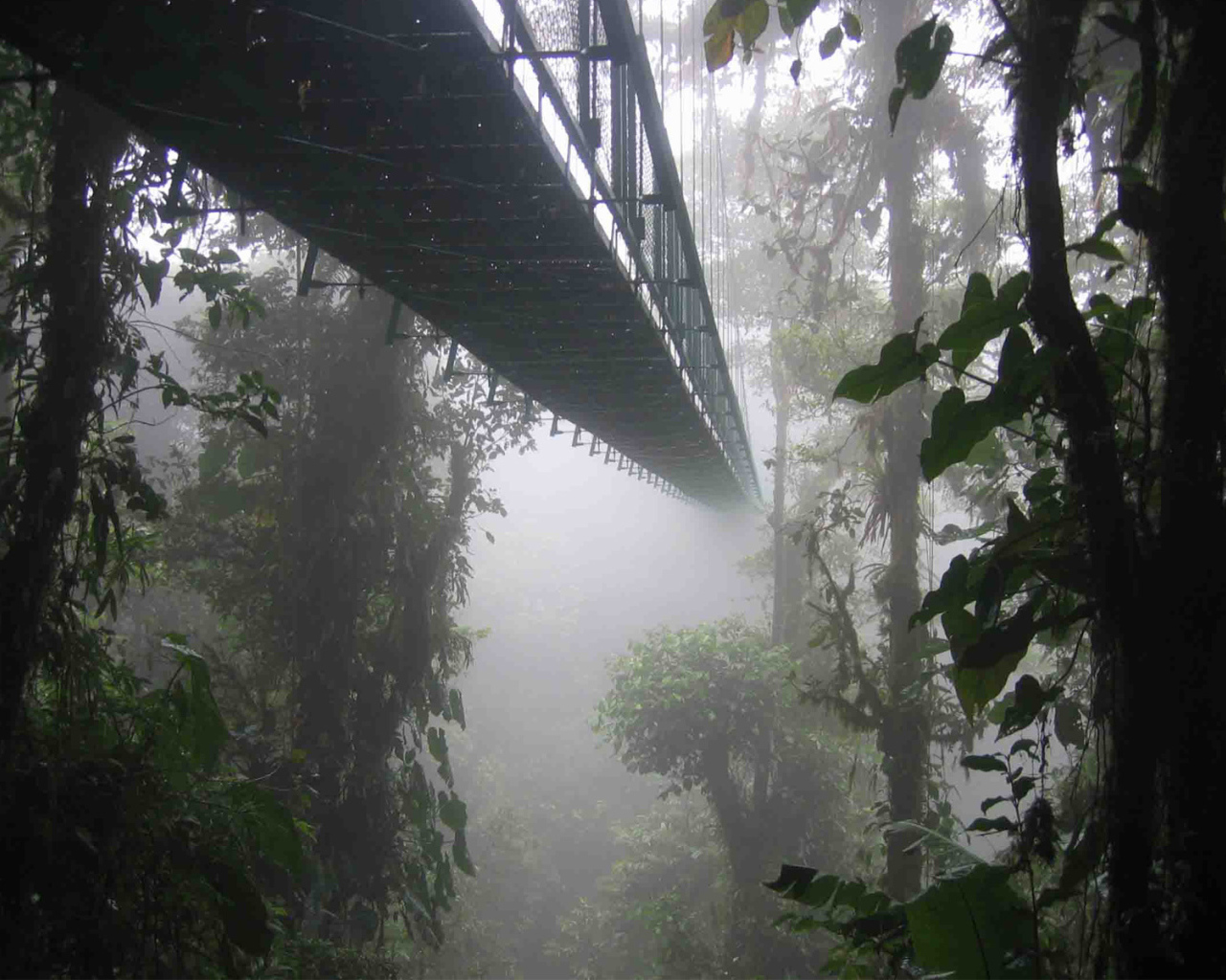 Удивительное место в Коста-Рика