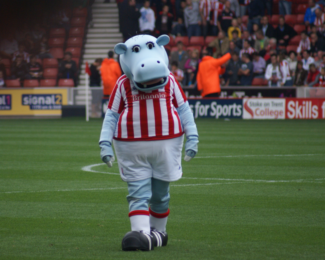 Известный ФК Сток Сити