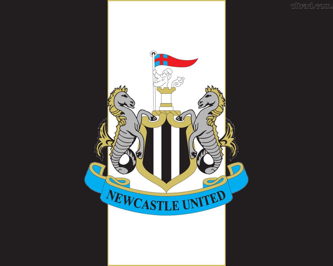 Известный футбольный клуб Англии Ньюкасл Юнайтед