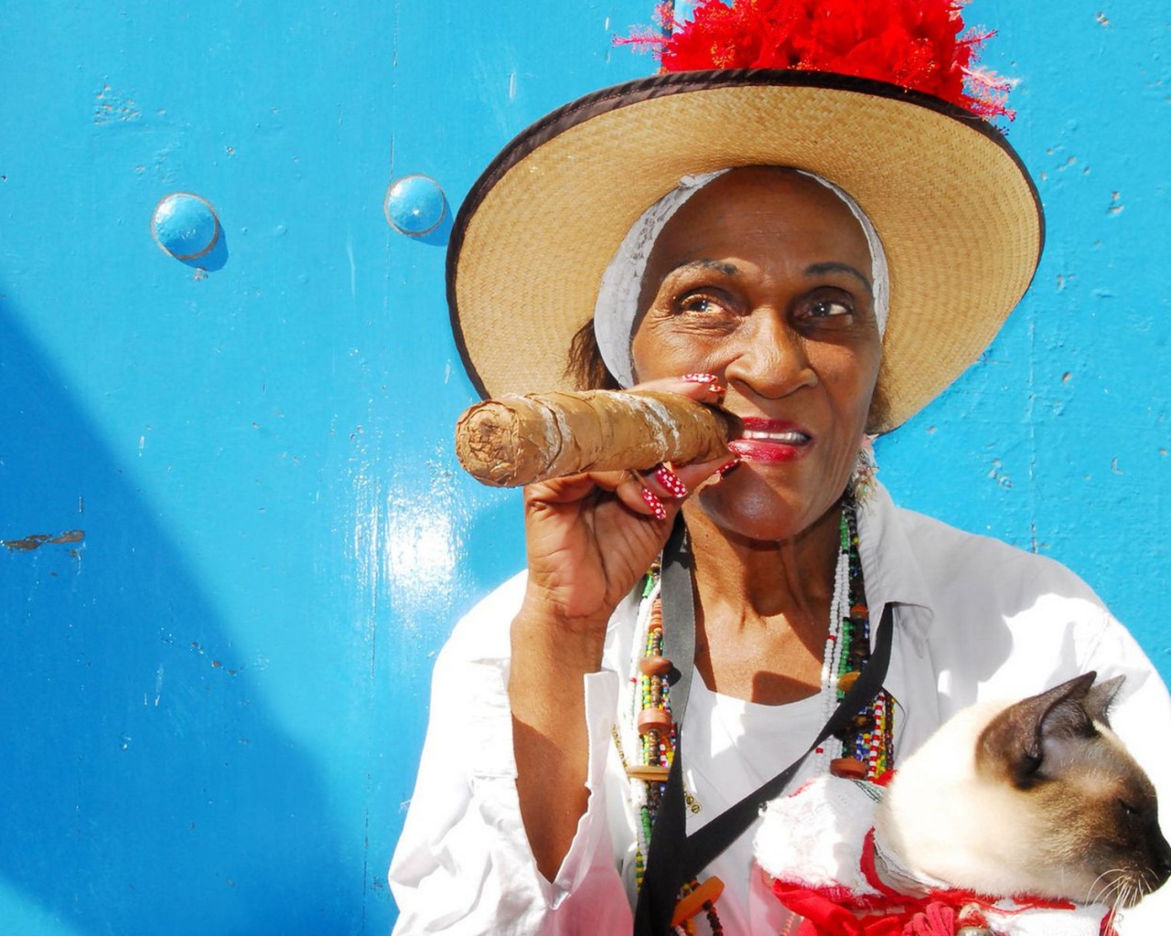 Бабушка с котом и сигарой