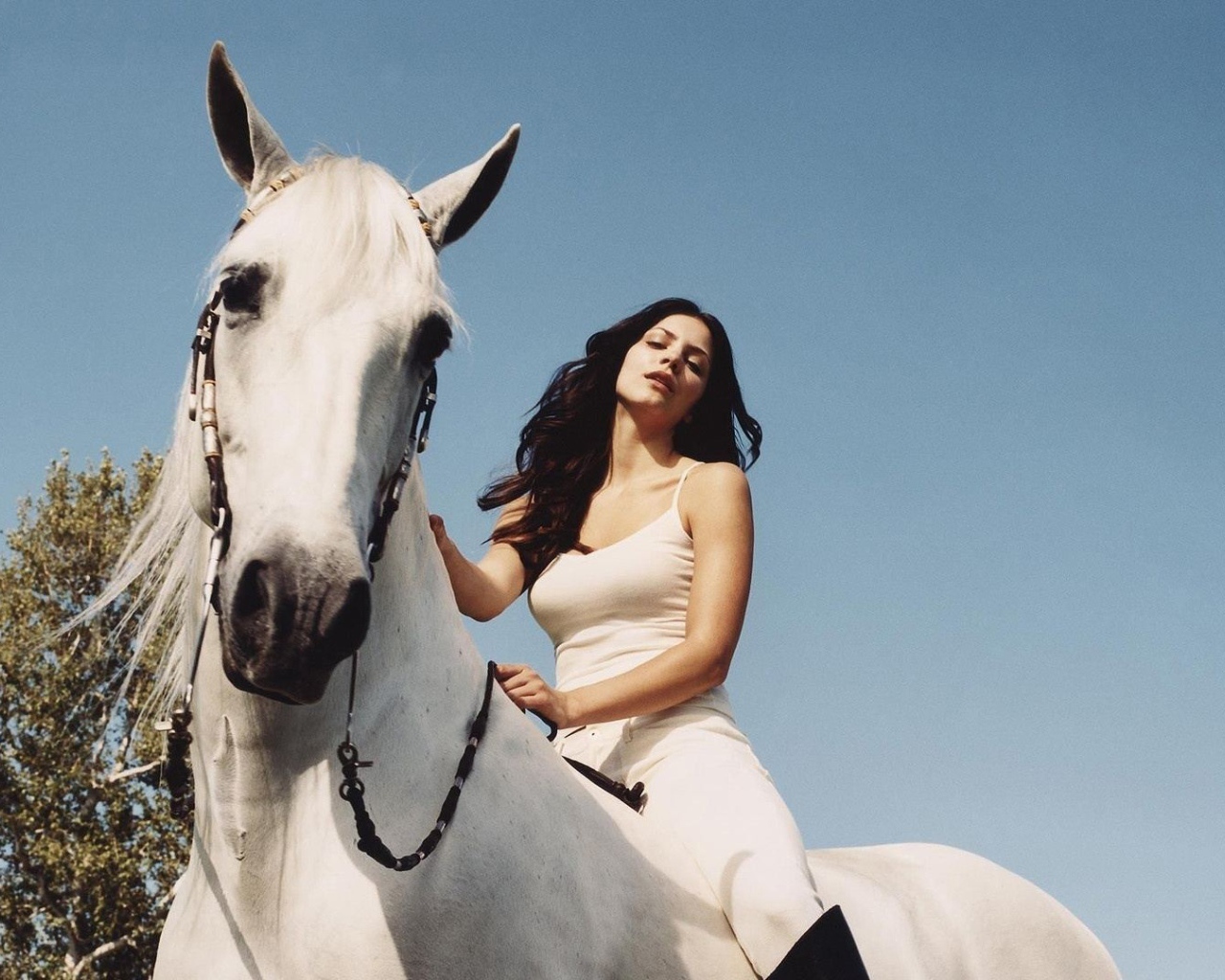 Катарина на белой лошади