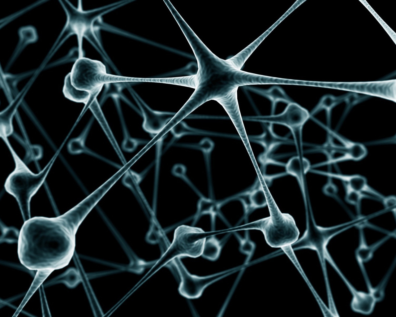 Связи нейронов в мозге