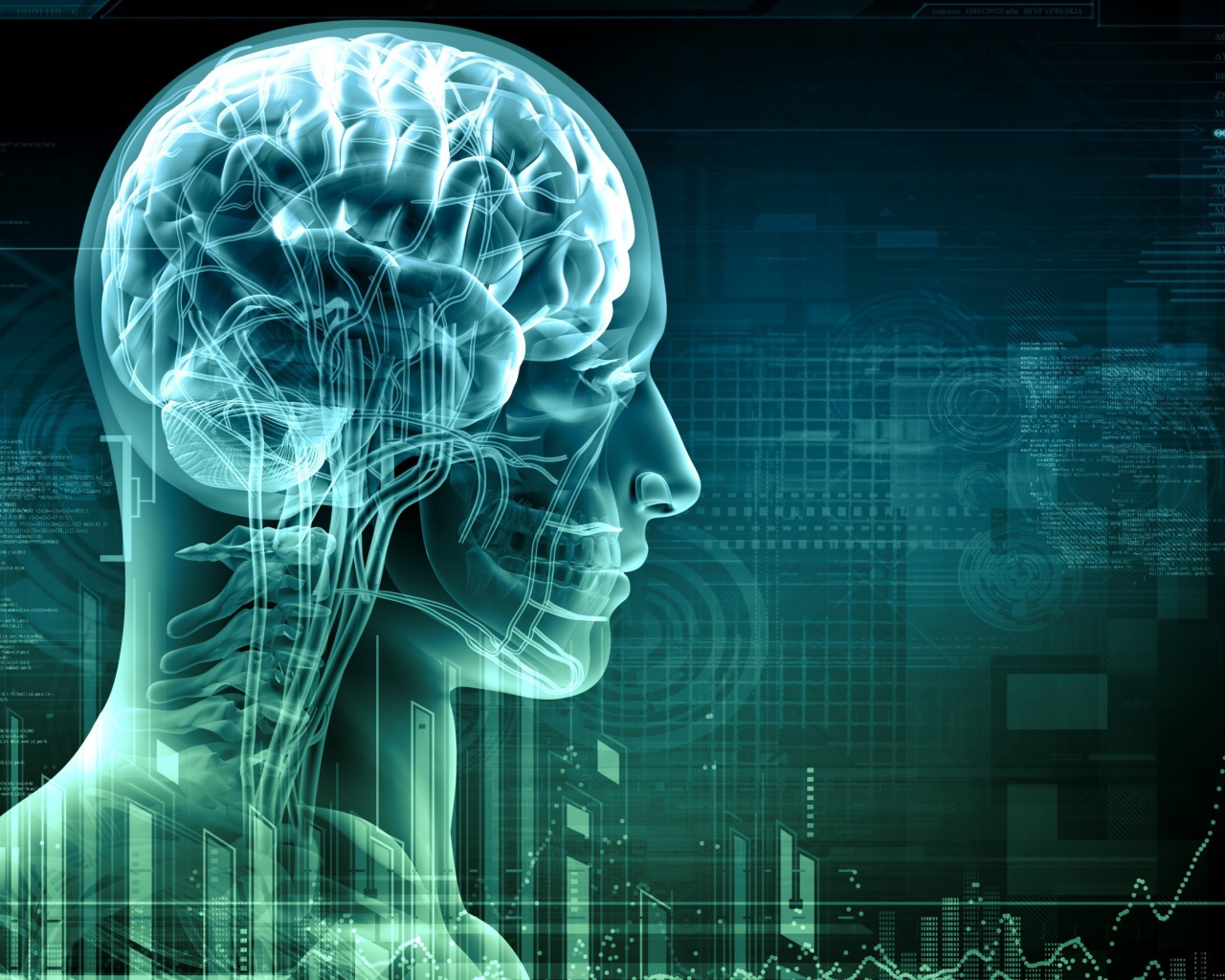 Цифровой снимок мозга человека
