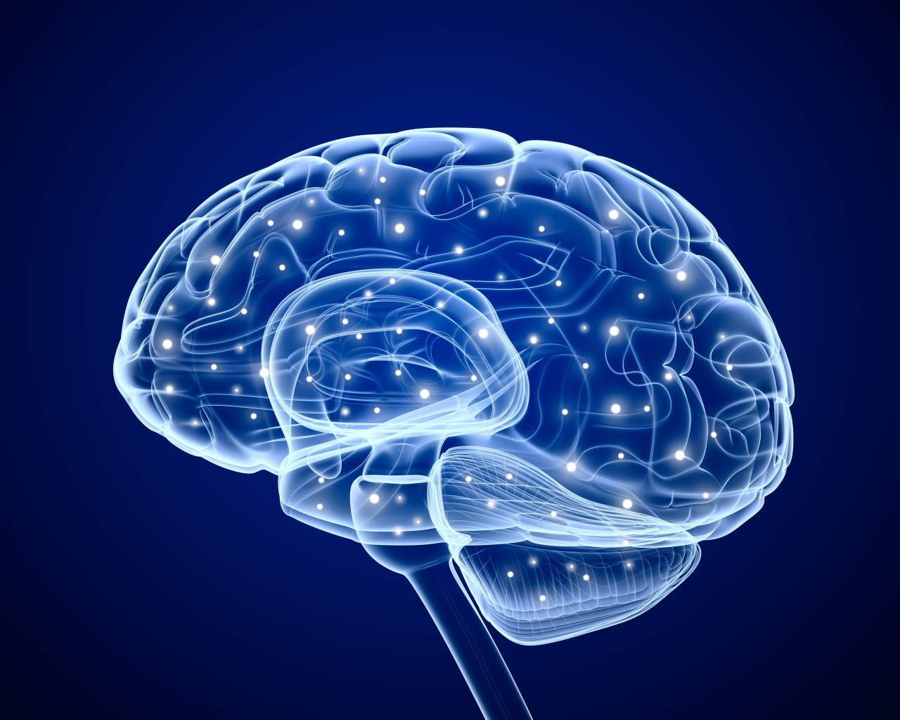 Электрические сигналы мозга