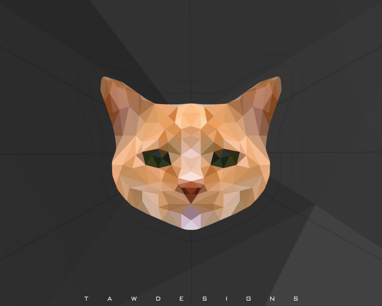 Морда кота, 3-Д графика