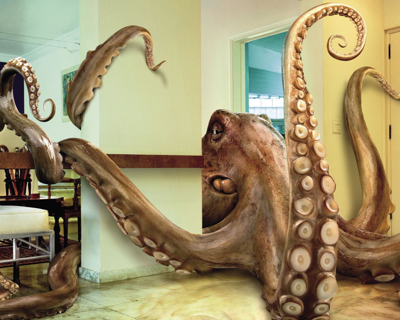 Осьминог в комнате, 3Д графика