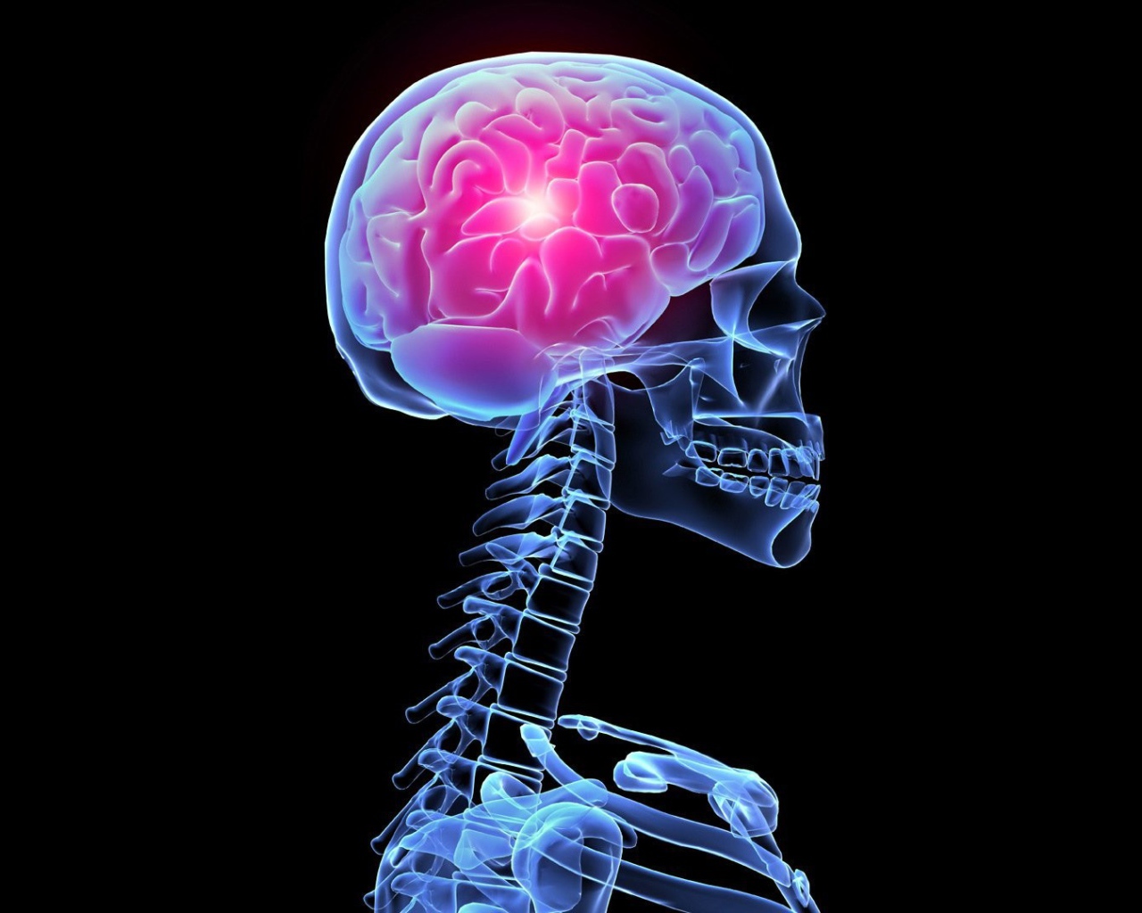 Рентгеновский снимок тела человека