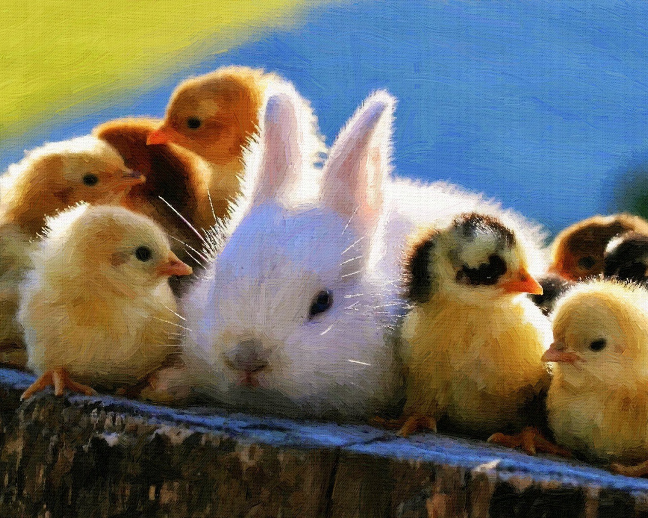 Кролик среди желтых цыплят