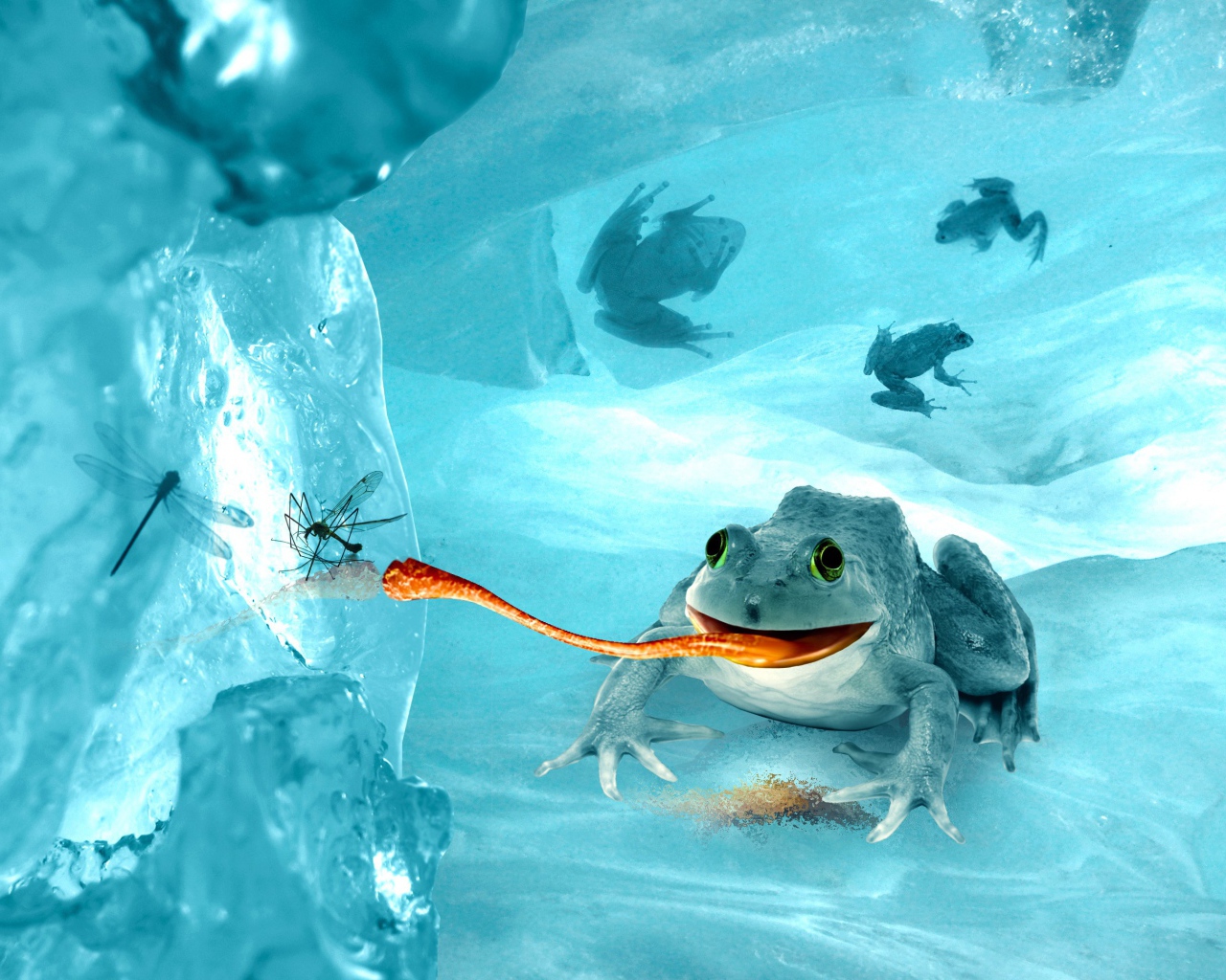 Лягушка среди льдов