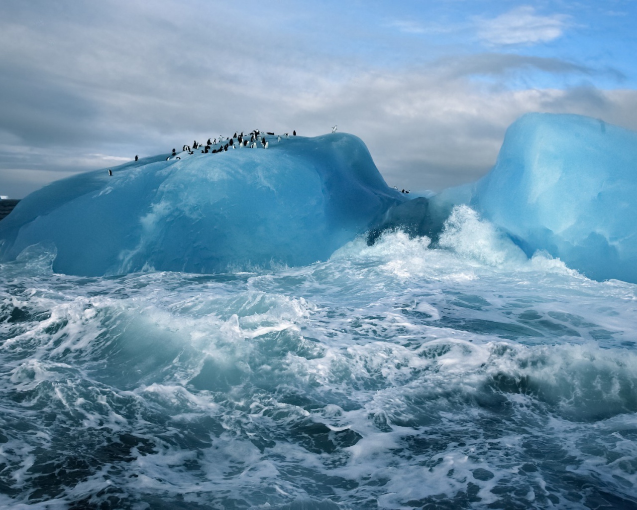 Penguins on an iceberg in the stormy sea
