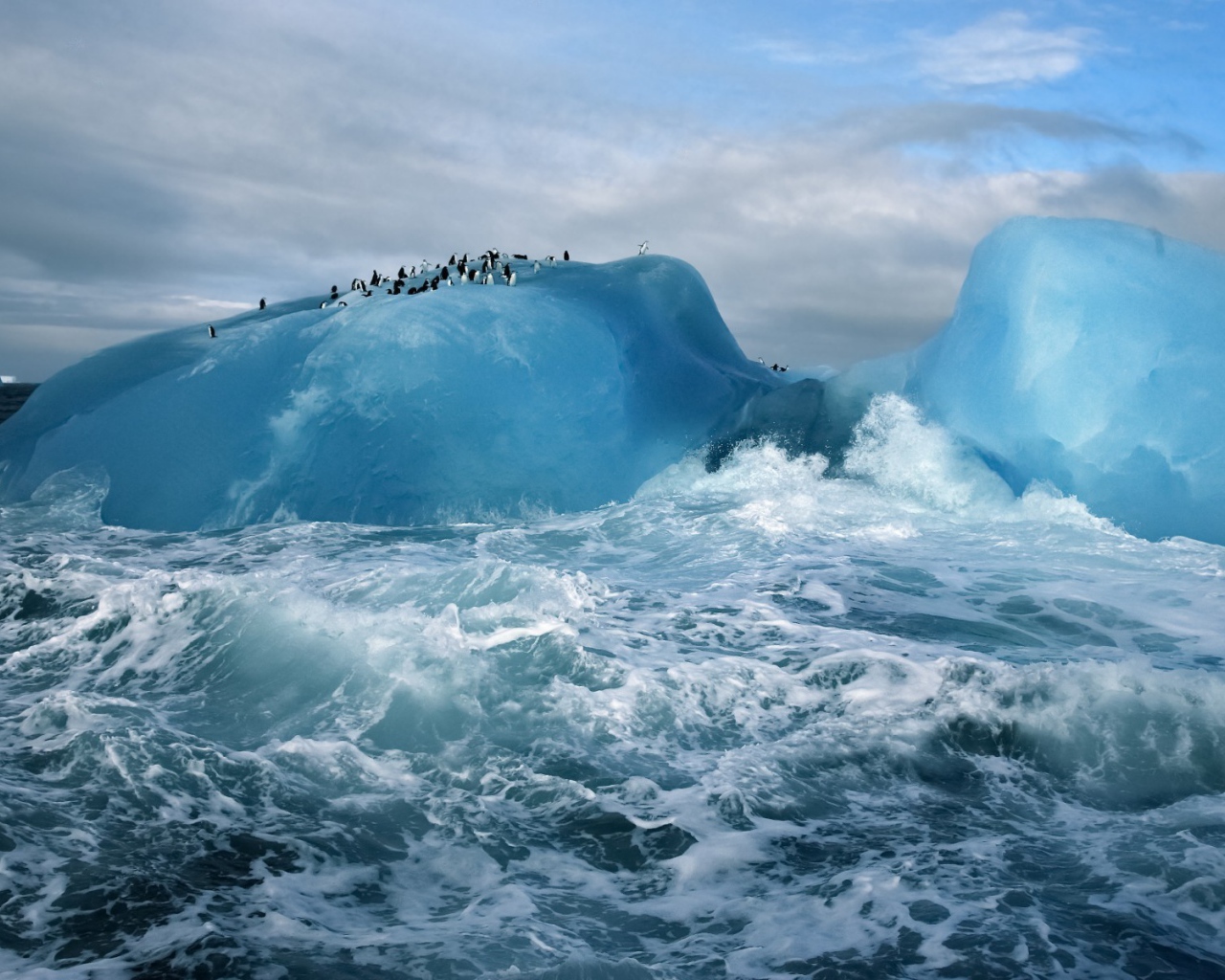 Пингвины на айсберге в бурном море