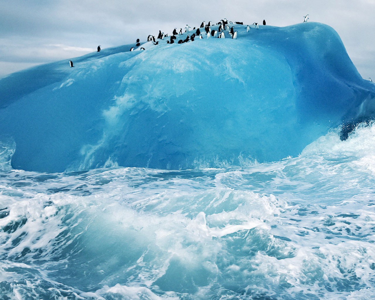 Пингвины на голубом льду айсберга