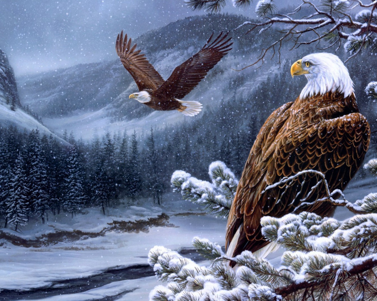 Белоголовые орланы в горах