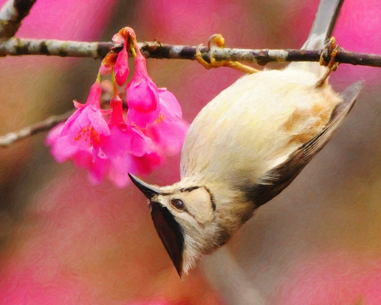 Птичка на ветке вниз головой