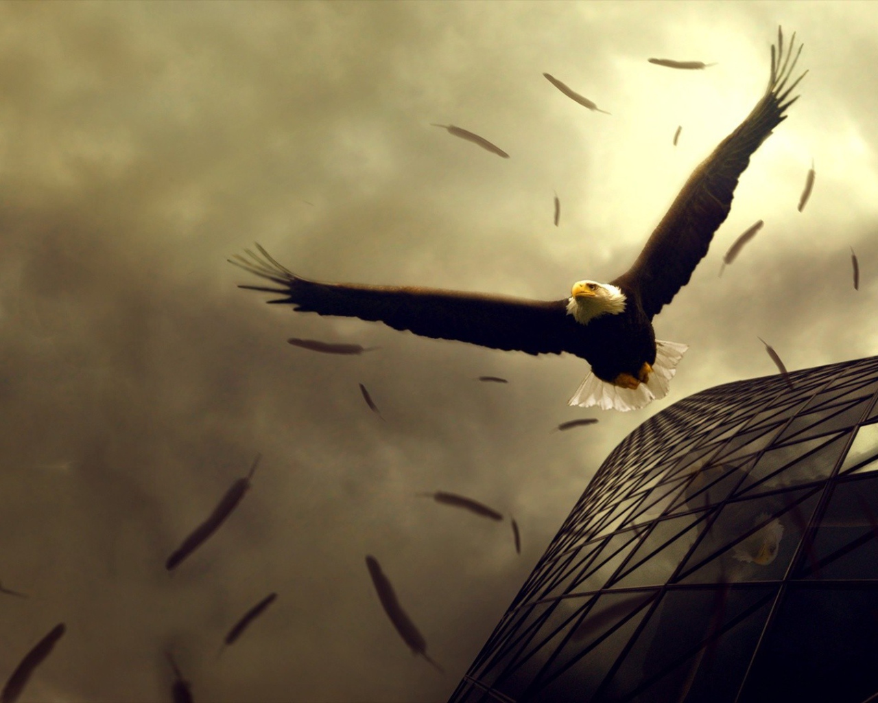 Орел теряет перья в полете