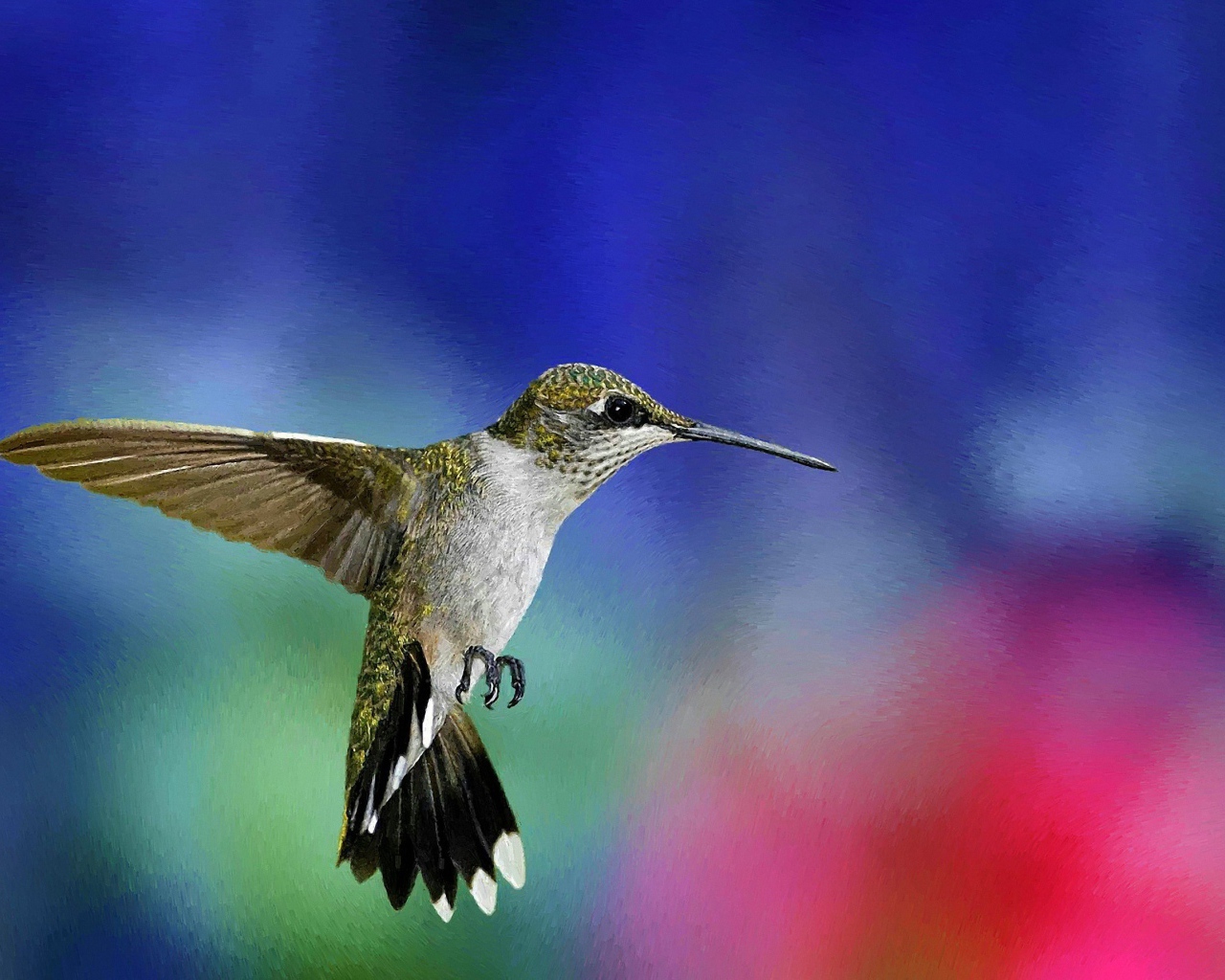 Зеленая колибри в воздухе