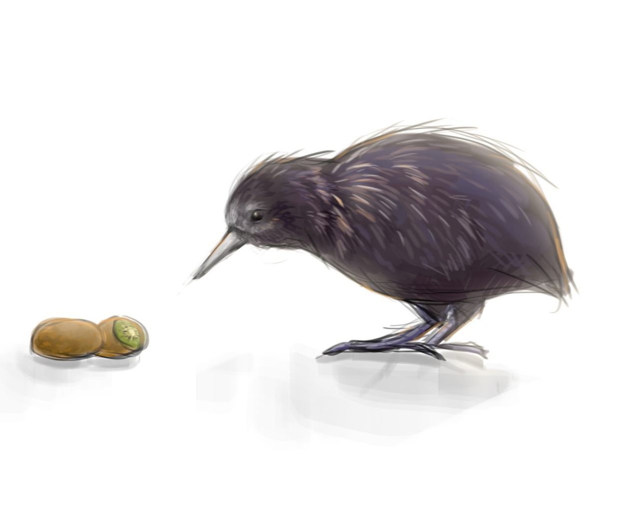 Киви это и птица и фрукт