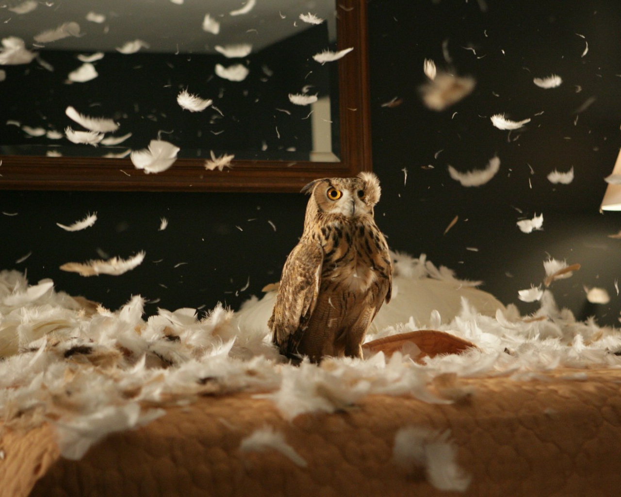 Сова в перьях