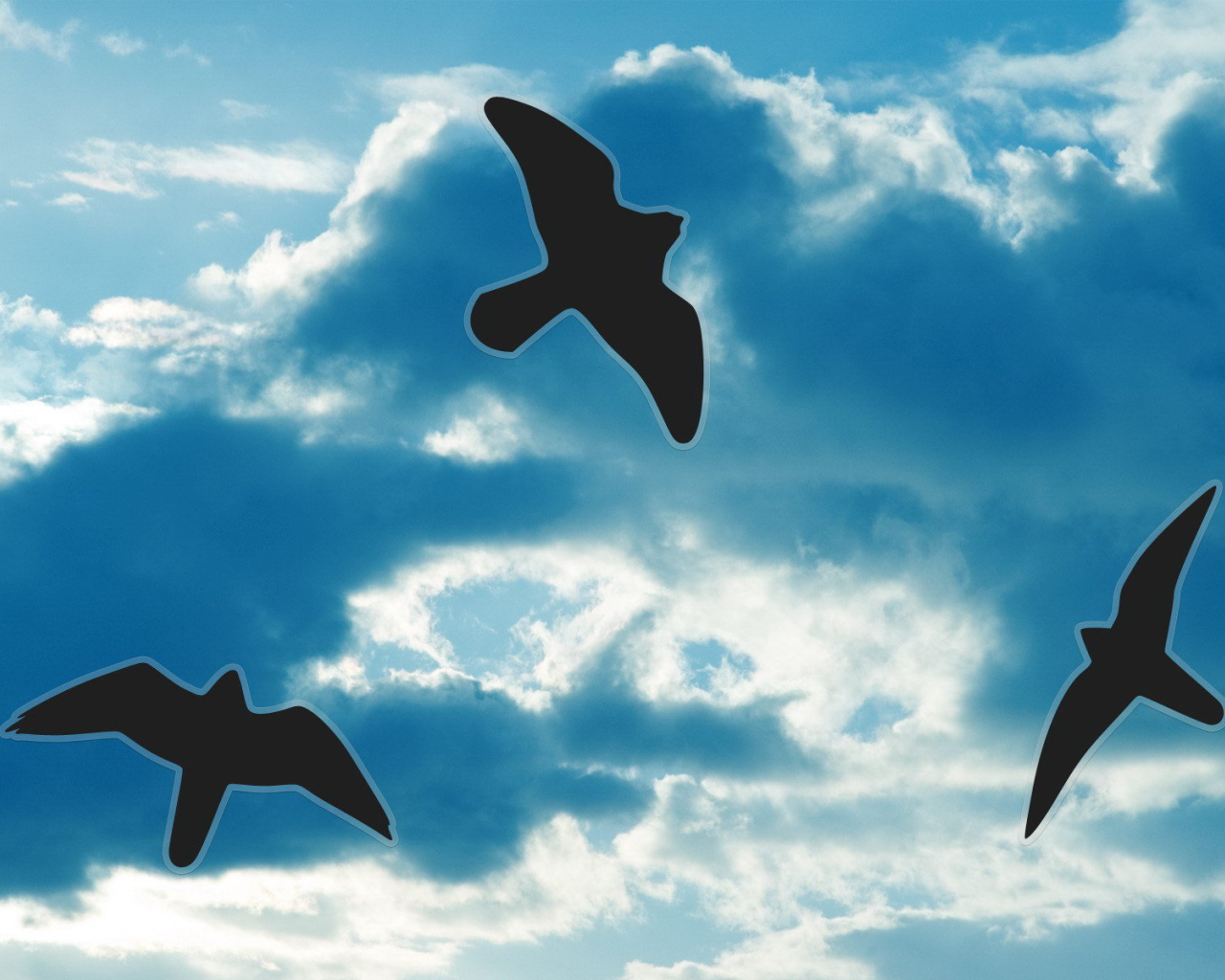 Силуэты птиц на небе