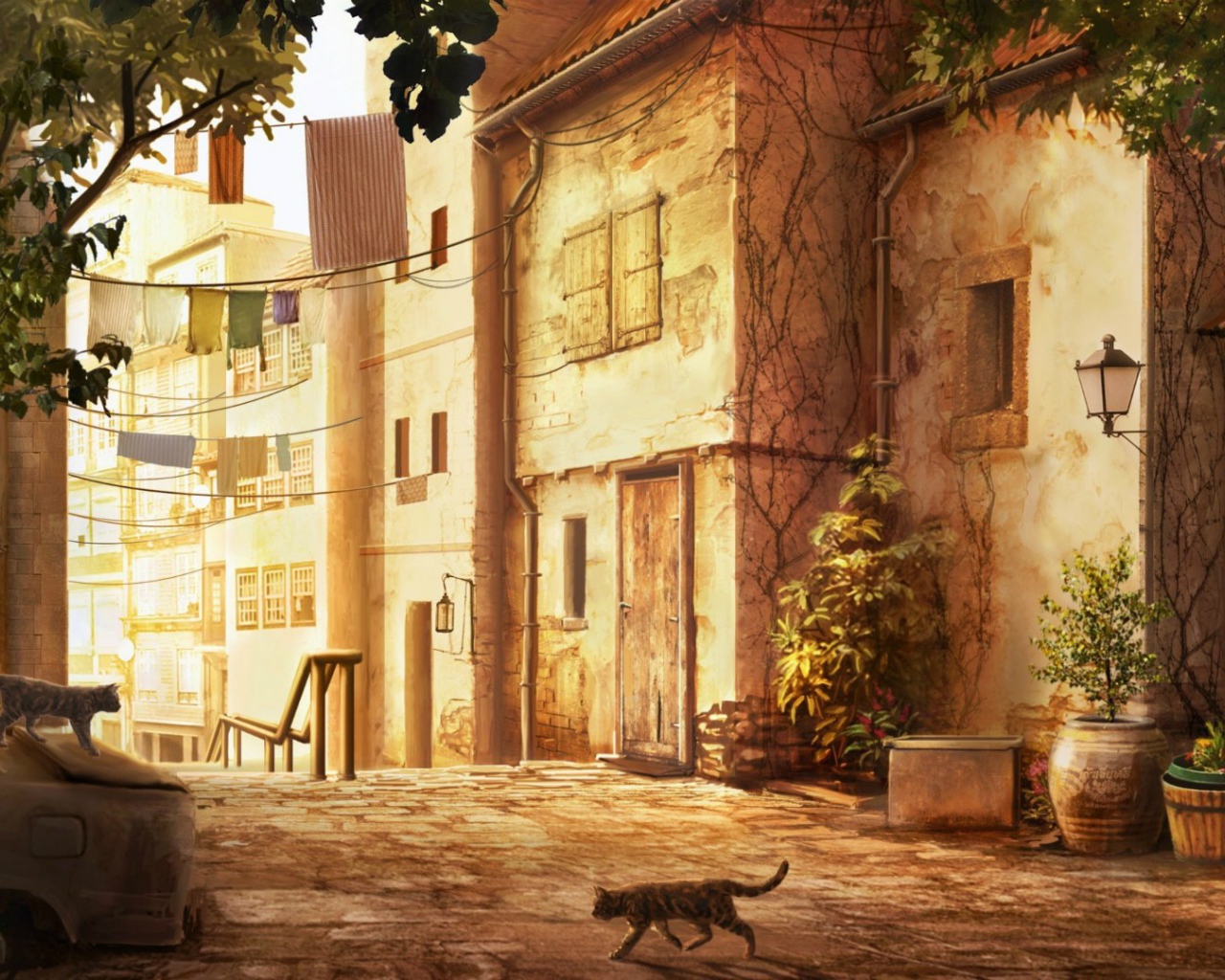 Кошка переходит дорогу