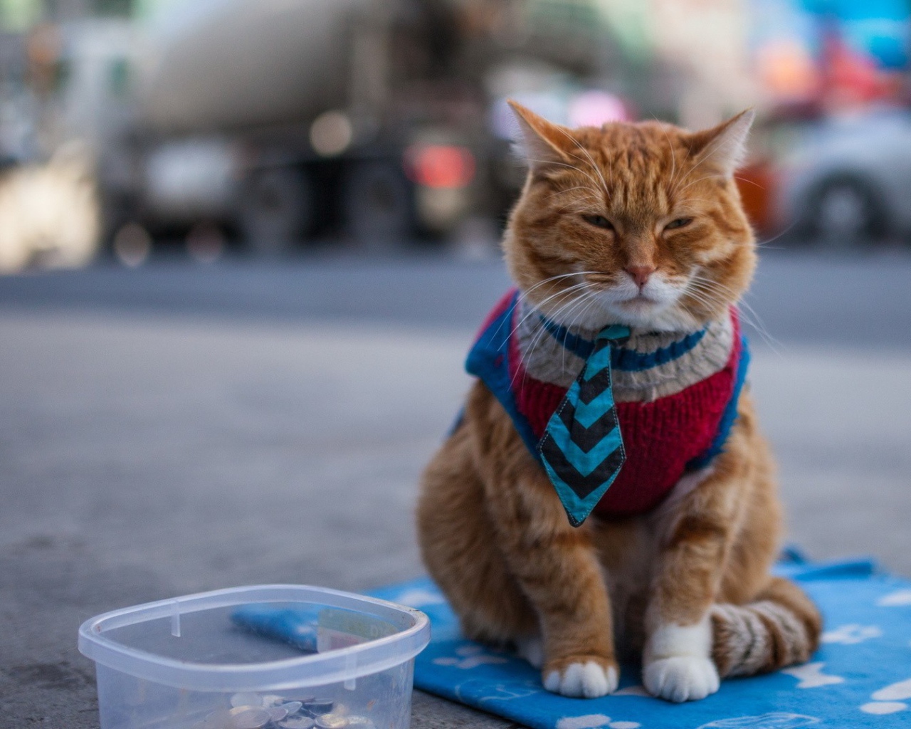 Кот в жилетке и галстуке